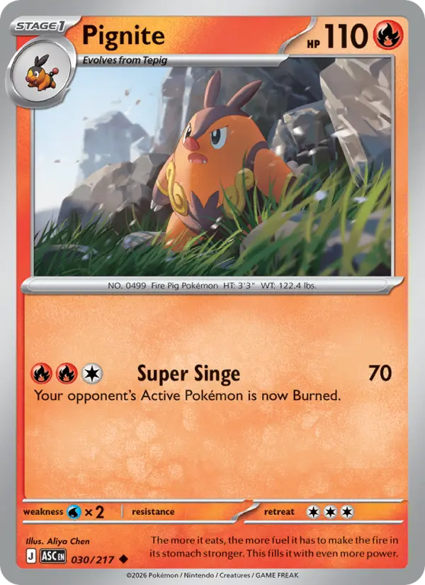 Pignite Pokemon card #030/217 from Ascended Heroes