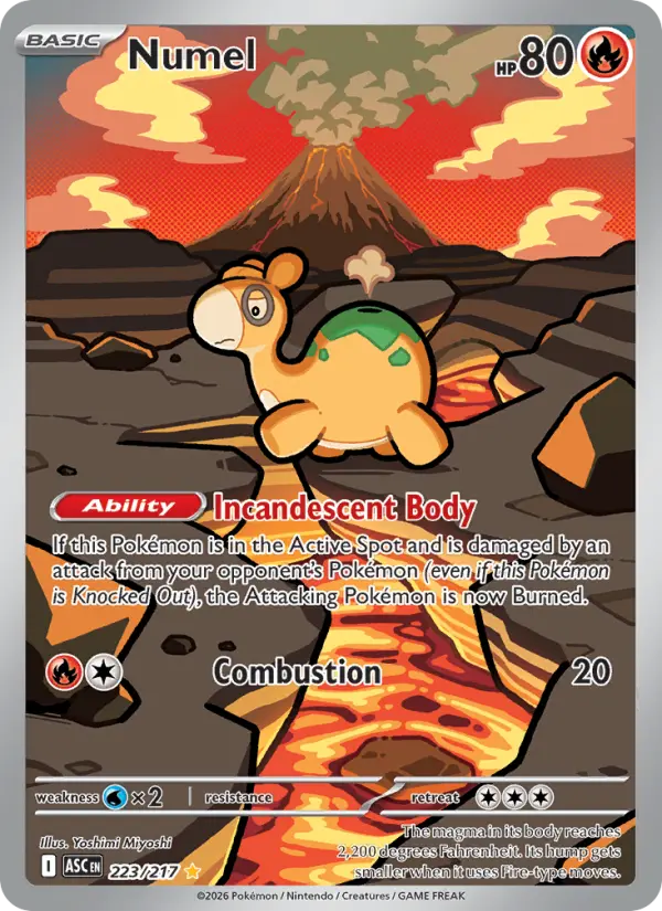 Numel Pokemon card #223/217 from Ascended Heroes