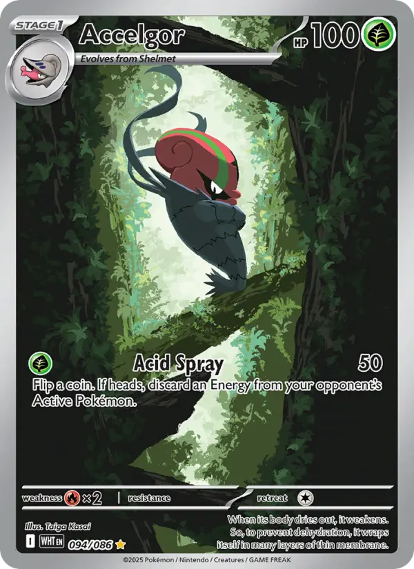 Accelgor Pokemon card #094/86 from White Flare