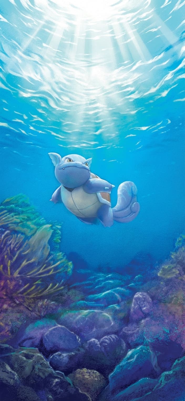 Wartortle wallpaper from 151