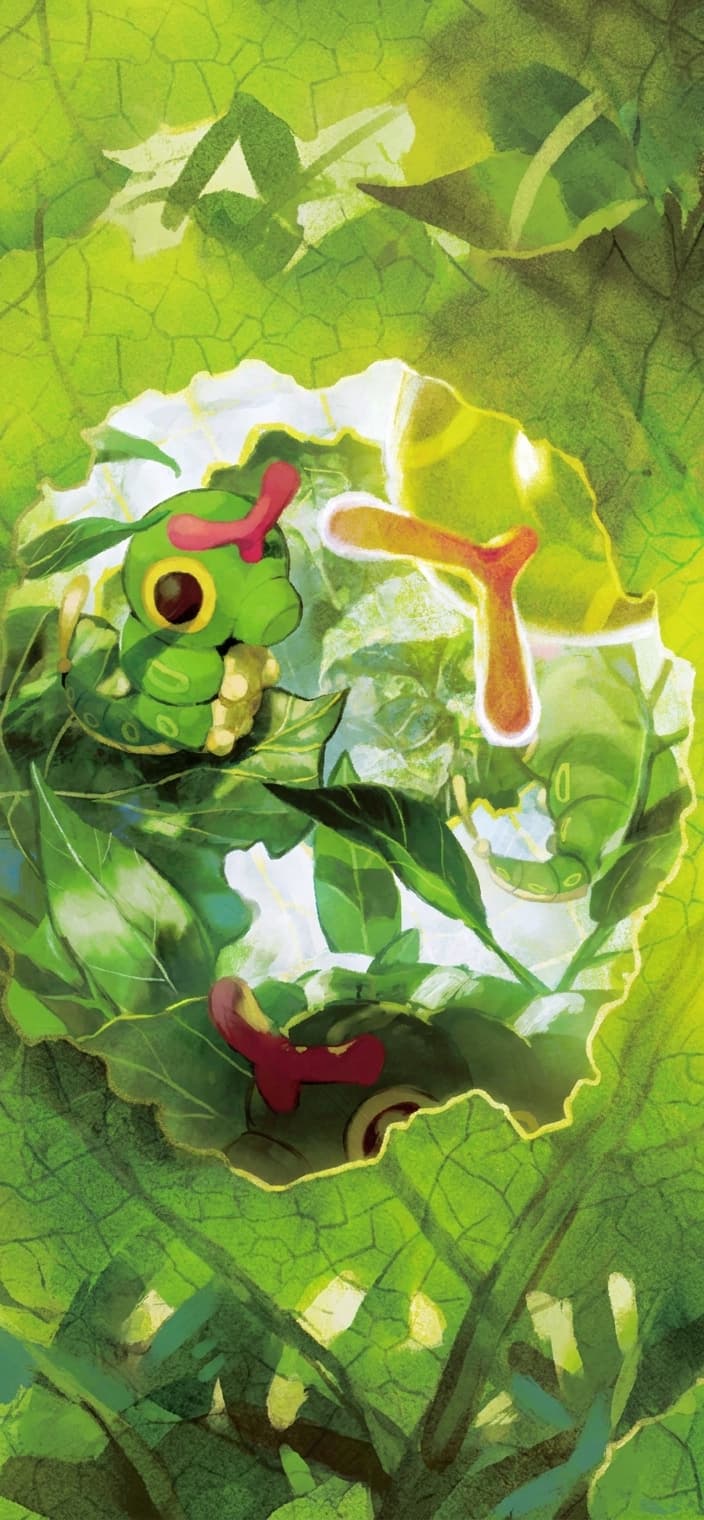Caterpie wallpaper from 151