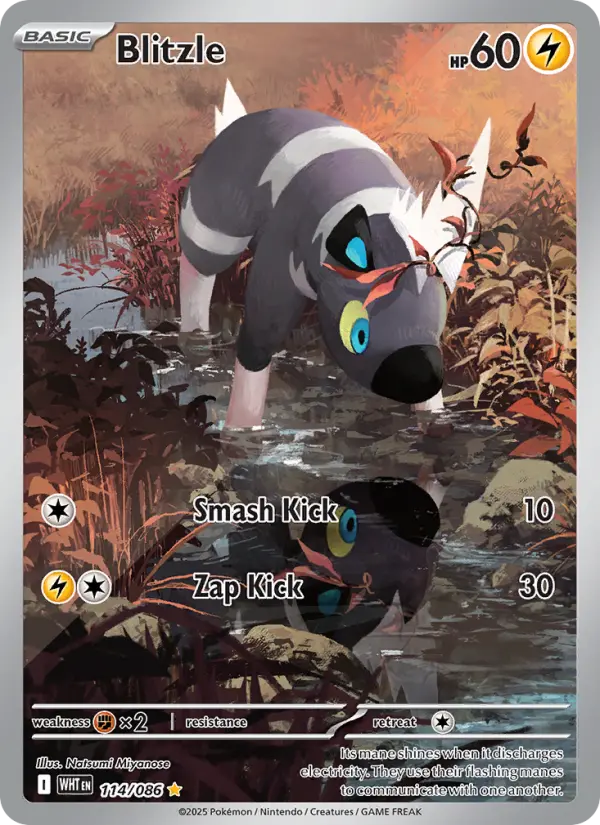 Blitzle Pokemon card #114/86 from White Flare